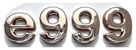 e9999 logo
